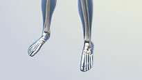 bodybot