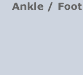 Foot / Ankle